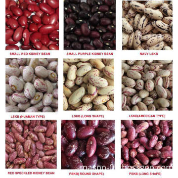 export all variety beans/all kinds of kidney beans/all types of beans of 2014 new crop